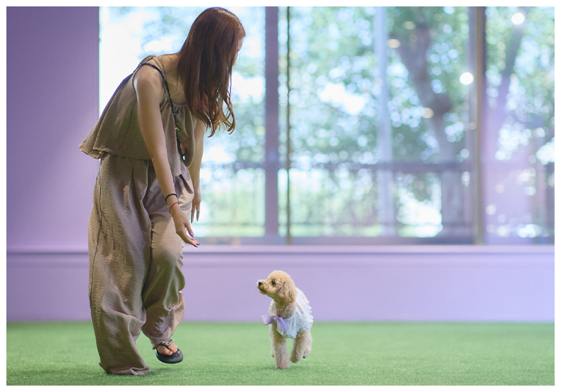 ペット関連事業Pet Business