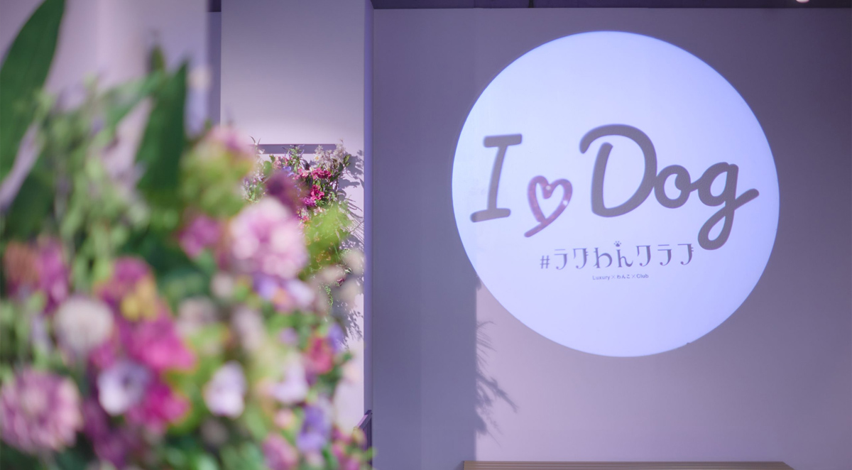 I.Dog神戸店